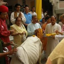 Indian dan horse page with past performances, results, pedigree, photos and videos. Gau Dan Organized By The Hindu Samaj Temple And Attended By Members Of Download Scientific Diagram