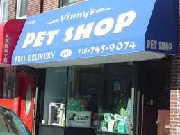 Chivalry is not a word to discribe this store. Vinny S Pet Shop Pet Store Brooklyn New York Facebook 746 Photos