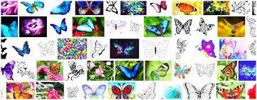 Mariposa Definition And Synonyms Of Mariposa In The Spanish Dictionary