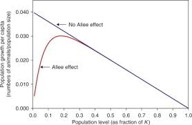 This lesson demonstrates how to calculate the per capita growth rate of a population when given the original population size and the factors that increase (n. Depensation An Overview Sciencedirect Topics