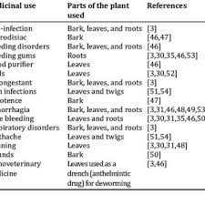 Image result for Heteropyxis dehniae