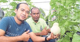 Contextual translation of tanam into english. Jom Bercucuk Tanam
