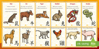 Chinese New Year Zodiac Animal Characteristics Display