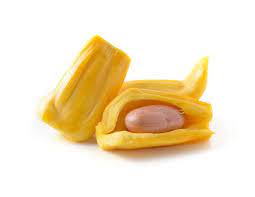 We did not find results for: Jackfruit Seed Propagation Tips For Growing Jackfruit From Seeds
