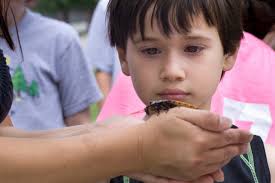 UF's BugFest Opens To The Public For The First Time