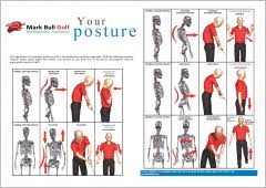 Bull 3d Encyclopedia Postural Breakdown