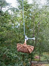 This type of planter is used many times for strawberry plants. Basket Hanging From Rope On Background Of Trees Nature Daylight Stock Photo 181062706
