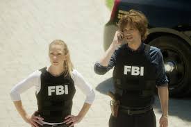 Criminal Minds Season 14 Episode 13 Review: Chameleon - Tv Fanatic