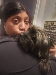 Caring for 15-year-old dogs with diaper needs