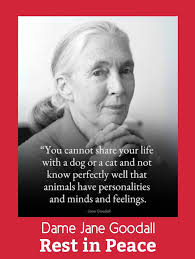 ❤️ It is with deep sadness that we remember one of our hero's, Jane  Goodall, who passed away