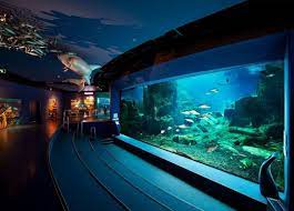 11 incredible aquarium designs that you can try to make your home look alive aquarium design the incredibles aquarium