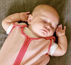 Buy Sleep nest Fleece Baby Sleeping Bag, Lavender, Large (18-36 Months)  Online at Low Prices in India