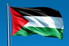 Image result for PALESTINE FLAG