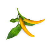 Yellow Chili Pepper – Click & Grow Help Desk