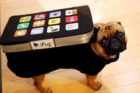 Introducing The All New Ipug Dog Halloween Costumes Best Dog Costumes Dog Halloween