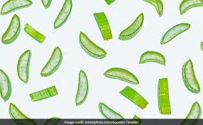 It also helps to prevent damage, such as split ends and breakage. 5 Ways To Use Aloe Vera To Rejuvenate Your Skin And Hair Ndtv Food