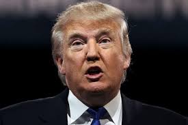 Donald Trump labelled a 'moron' for blaming Charlie Hebdo attacks