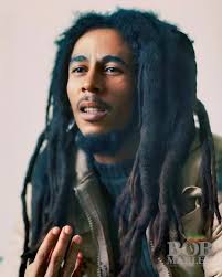 Why do governments restrict herb use?