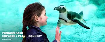 Adventure Aquarium Camden Nj In 2020 Adventure Aquarium Underwater