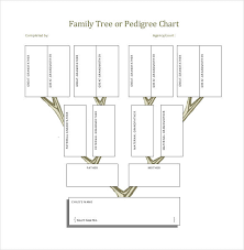 35 family tree templates word pdf psd apple pages