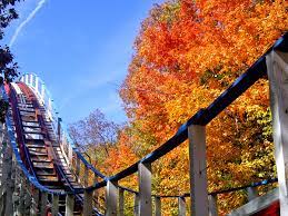 Six flags' iconic fright fest returns in 2021! Six Flags On Twitter From Our Family To Yours Have A Wonderful Thanksgiving We Are Extremely Grateful For All Of Our Guests And Hope To See You Soon Thanksgiving Grateful Sixflags Https T Co Ajltgch2zc