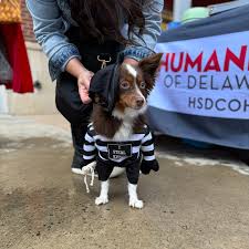 Destination Delaware...