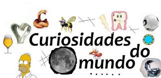 Resultado de imagem para CURIOSIDADES