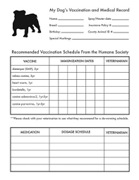 Free Printable Immunization Record Forms