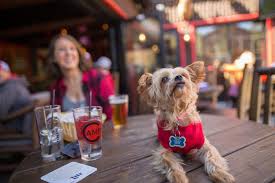 Outside seating is dog friendly! 13 Dog Friendly Bars Restaurants Patios And Parks In Milwaukee