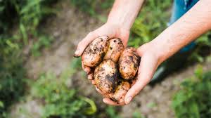 However, the most basic form of healing remains … Foundations Can Unlock A Food System To Feed The World