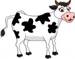 Vaci si boi 12 planse de colorat ro. Pin On Animale Domestice