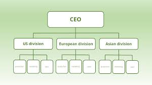 Organizational Structures An Explanation Ionos
