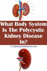 Pin On Chronic Kidney Disease