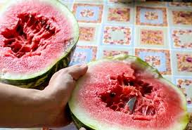 Jul 13, 2020 · how to tell if a watermelon is bad method 1 of 3: 5 Signs Of A Nitrate Watermelon That Can Help You Avoid Poisoning