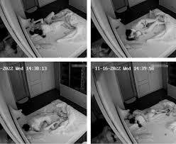 MP4/207MB]最新家庭摄像头偷拍爱好收藏包包的土豪夫妻私密性生活| 亚洲中文无码- AV狼