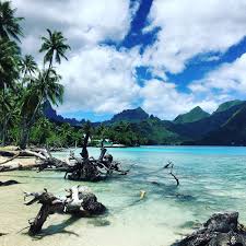 Image result for Mohria