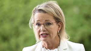 Inside the secretive and lucrative fact checking industry behind a  foreign-funded bid to censor Voice debate: The Fact Check Files