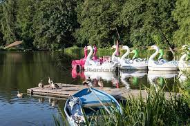 Ein sehr schöner und gepflegter park lädt zum spazieren. Bunte Schwane Im Deutsch Franzosischen Garten Dfg Saarbrucken Saarland Bildtankstelle De