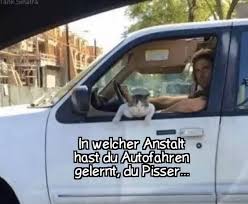 Pin Von Marc Oschmann Auf Witzig Autofahren Lernen Lustig Witzig
