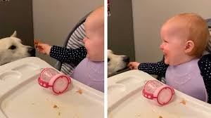 Los 10 Videos De Bebes Mas Adorables Del 2020