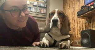 When can a 7-month-old puppy outgrow peeing accidents?