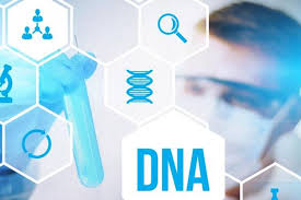 Warna sekunder merupakan warna hasil campuran/kombinasi antara dua warna primer. Pewarisan Sifat Review Biology Quizizz