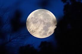 Tonight's Harvest Moon will light up the sky. Here's the best time to see it