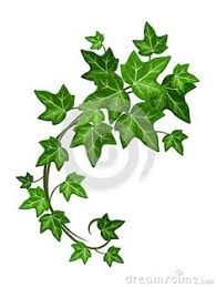 If you need to file a claim immediately, please call the. 7 Meilleures Idees Sur Liere Liere Feuille De Lierre Dessin Feuille