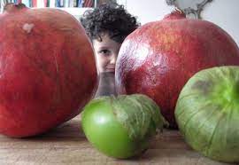 How To Eat A Pomegranate Persian Style Part Yek That Is Part I Fig Quince