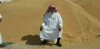 موسوعة اليمن الإخبارية L شاهد بالصور كيف حو ل رجل الأعمال السعودي سليمان الراجحي أراضي في السودان إلى رمال من القمح Style Normcore