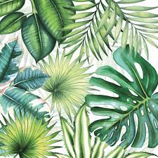 Voir plus d'idées sur le thème plantes tropicales, tropical, plante. Tropical Napkins Tropical Leaf Napkins Tropical Leaves Etsy Tropical Leaves Tropical Napkins Tropical