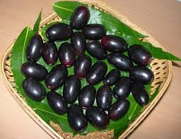 The tree, scientifically called syzigium cumini, jambu phalinda in sanskrit, jambu or jamun in hindi, or the indian blackberry in english, is one of the few trees indigenous to india, but can also. Jamun Fruit Naaval Pazham Kamala S Corner