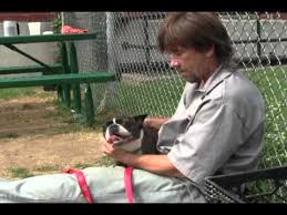 Find a translation for puppies up for parole in other languages Puppies For Parole Youtube