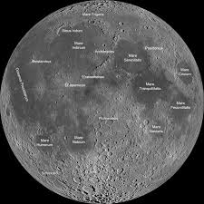 North, south, east, west—the cardinal the united states are laid out in a way that can help you understand cardinal directions. Cardinal Direction Names At A North Polar Moon Base Worldbuilding Stack Exchange
